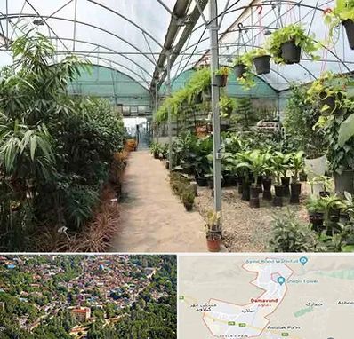 مرکز فروش گل و گیاه در دماوند