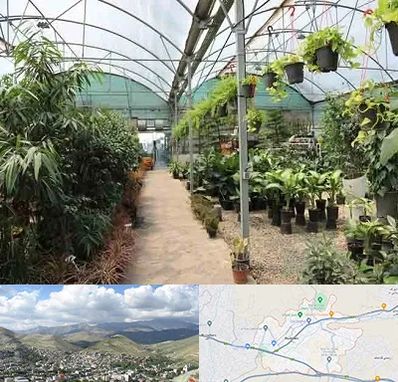 مرکز فروش گل و گیاه در رودهن