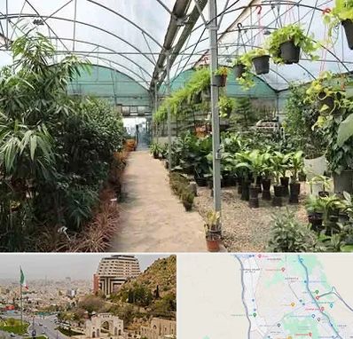 مرکز فروش گل و گیاه در فرهنگ شهر شیراز