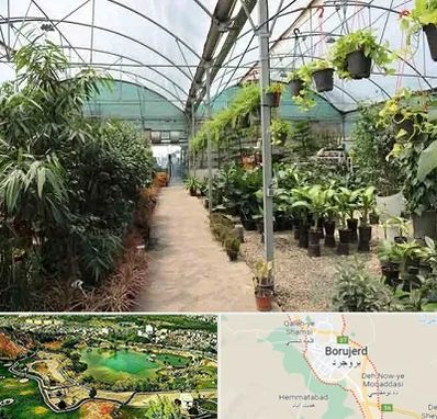 مرکز فروش گل و گیاه در بروجرد