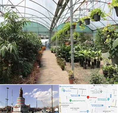 مرکز فروش گل و گیاه در کارگر جنوبی
