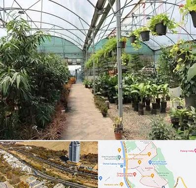 مرکز فروش گل و گیاه در خیابان نیایش شیراز