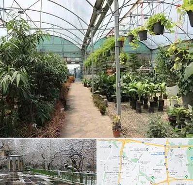 مرکز فروش گل و گیاه در باغ فیض