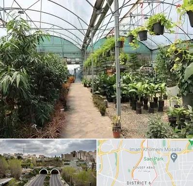 مرکز فروش گل و گیاه در یوسف آباد