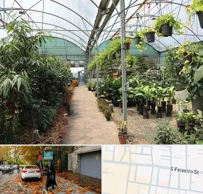 مرکز فروش گل و گیاه در خیابان فلسطین