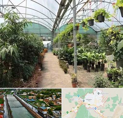 مرکز فروش گل و گیاه در مراغه