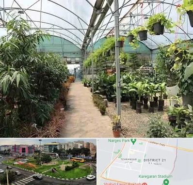 مرکز فروش گل و گیاه در تهرانسر