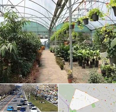 مرکز فروش گل و گیاه در احمدآباد مشهد