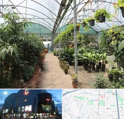 مرکز فروش گل و گیاه در بلوار اباذر