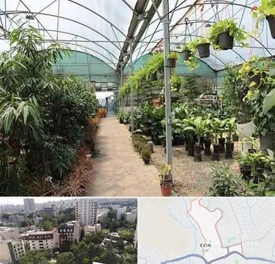 مرکز فروش گل و گیاه در اوین