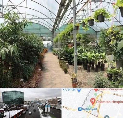 مرکز فروش گل و گیاه در اقدسیه