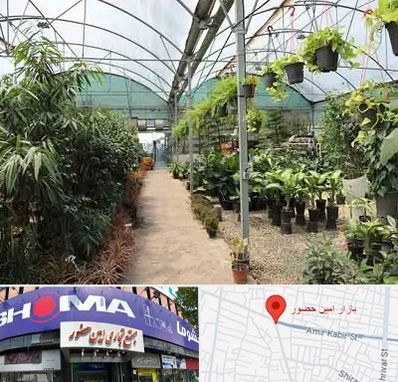 مرکز فروش گل و گیاه در امین حضور