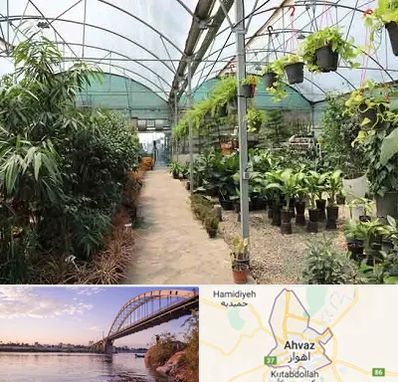 مرکز فروش گل و گیاه در اهواز