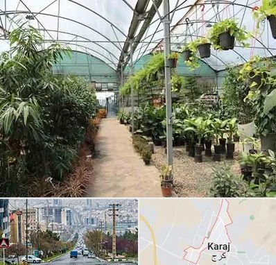 مرکز فروش گل و گیاه در گوهردشت کرج