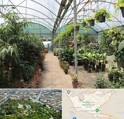 مرکز فروش گل و گیاه در شهرکرد