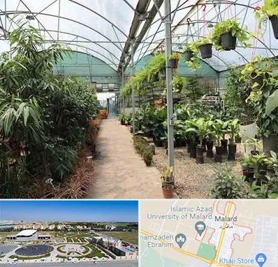 مرکز فروش گل و گیاه در ملارد