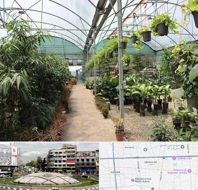 مرکز فروش گل و گیاه در مرکز تهران