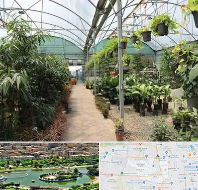 مرکز فروش گل و گیاه در منطقه 9 تهران