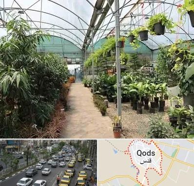مرکز فروش گل و گیاه در شهر قدس