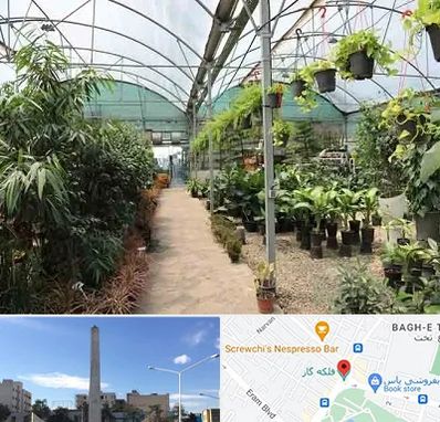 مرکز فروش گل و گیاه در فلکه گاز شیراز
