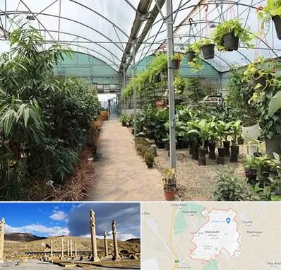 مرکز فروش گل و گیاه در مرودشت