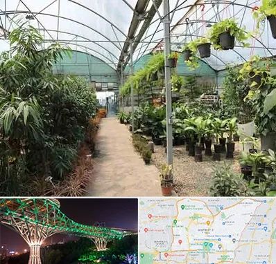 مرکز فروش گل و گیاه در منطقه 3 تهران