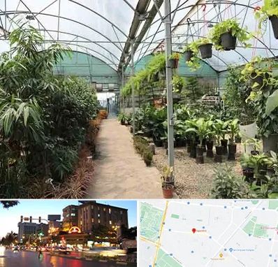 مرکز فروش گل و گیاه در بلوار سجاد مشهد