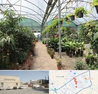 مرکز فروش گل و گیاه در نواب اسلامشهر