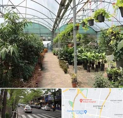 مرکز فروش گل و گیاه در ظفر