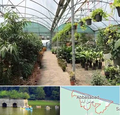 مرکز فروش گل و گیاه در عباس آباد