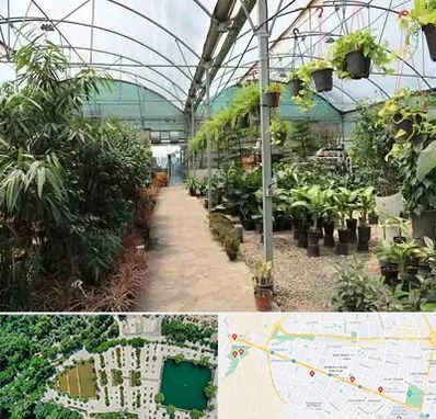 مرکز فروش گل و گیاه در وکیل آباد مشهد