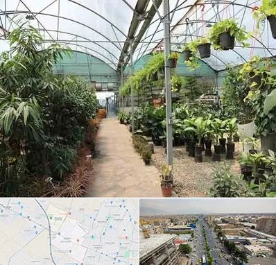 مرکز فروش گل و گیاه در حصارک کرج