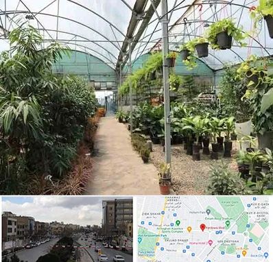 مرکز فروش گل و گیاه در بلوار فردوسی مشهد