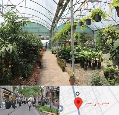 مرکز فروش گل و گیاه در ولیعصر شهریار