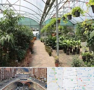 مرکز فروش گل و گیاه در منطقه 10 تهران