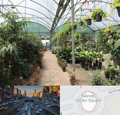 مرکز فروش گل و گیاه در نواب