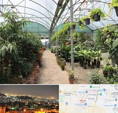 مرکز فروش گل و گیاه در مارلیک کرج