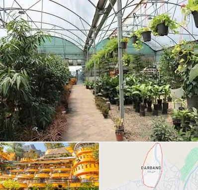 مرکز فروش گل و گیاه در دربند