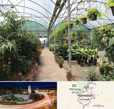 مرکز فروش گل و گیاه در همدان