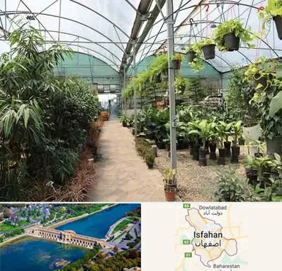 مرکز فروش گل و گیاه در اصفهان