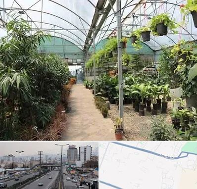 مرکز فروش گل و گیاه در بلوار ارتش