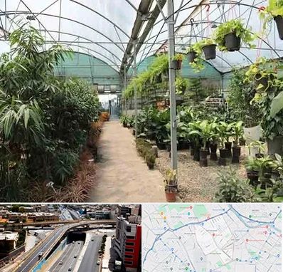 مرکز فروش گل و گیاه در ستارخان شیراز