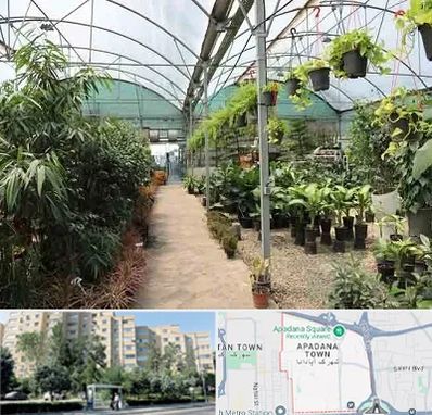 مرکز فروش گل و گیاه در آپادانا