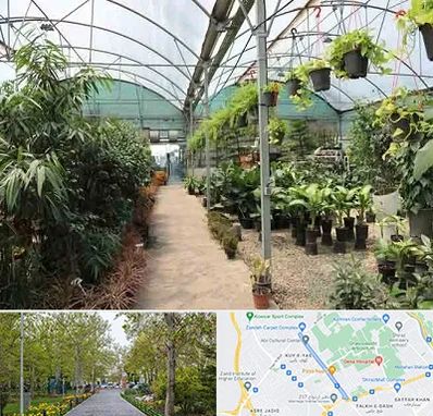 مرکز فروش گل و گیاه در قدوسی غربی شیراز