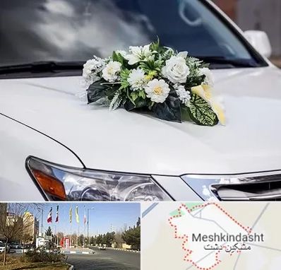 گل آرایی ماشین عروسی در مشکین دشت