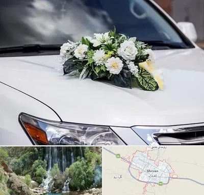 گل آرایی ماشین عروسی در شیروان