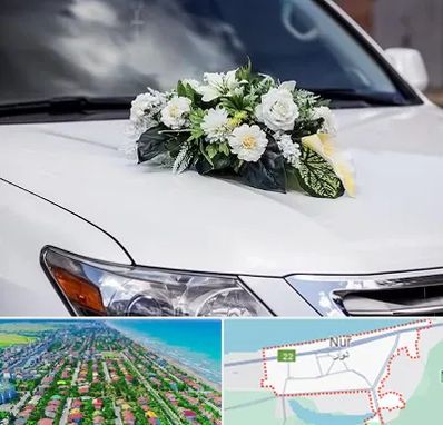 گل آرایی ماشین عروسی در نور