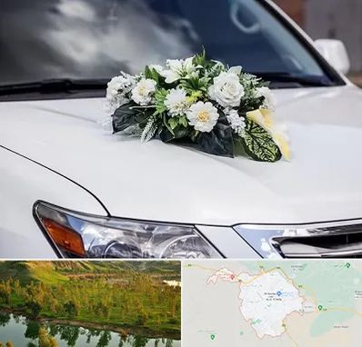 گل آرایی ماشین عروسی در بهبهان