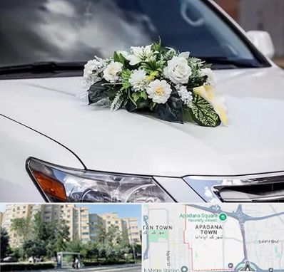 گل آرایی ماشین عروسی در آپادانا