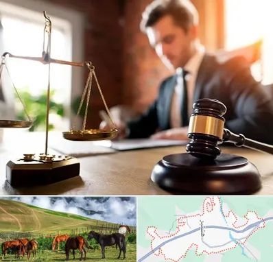 دفتر وکالت در تالش